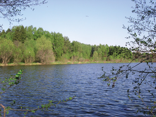 На озере Елховом Травянистом вновь можно купаться